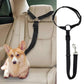 Auto-Hundeleine – einstellbar & sicher – perfekt für unterwegs🐶🚗