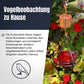 Hängender Kolibri-Futterspender aus Metall
