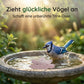 ✨🍁Universeller Vogelbad-Reiniger
