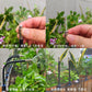 🔥Letzter Tag 50 % Rabatt✨360° Curved Garden Automatic Irrigation System
