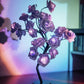 ✨🌹Rosenblüten-Design Baum Nachtlicht🔥Kauf 2 Artikel versandkostenfrei🔥