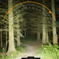 🚲Rechargeable 28-LED Bicycle Headlight with Horn