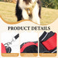 📢📢50 % RABATT !! ⏰Hundegeschirr ohne Zugkraft mit Leine und Halsband mit LED