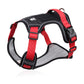 📢📢50 % RABATT !! ⏰Hundegeschirr ohne Zugkraft mit Leine und Halsband mit LED