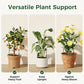 🌱 50% RABATT! 🪴 Pflanzenstützen für drinnen & draußen – Verstellbar, stabil & ideal für Tomaten, Blumen und Kletterpflanzen – fördert gesundes Wachstum 🌿