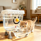 🐱 50 % RABATT FÜR BEGRENZTE ZEIT! 💧 Haustier Wasserspender mit Großtank – Selbstnachfüllendes System, transparenter Behälter, höhenverstellbar für Katzen & Hunde