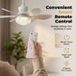 🌀✨2-in-1-LED-Deckenventilator mit Kühlfunktion