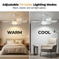 🌀✨2-in-1-LED-Deckenventilator mit Kühlfunktion