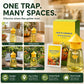 ❄️Sommerfrische 50% Rabatt!🌿Wiederverwendbare Fliegenfalle mit Lockstoff – Insektizidfreier Fruchtfliegenfänger für Küche, Terrasse & Garten