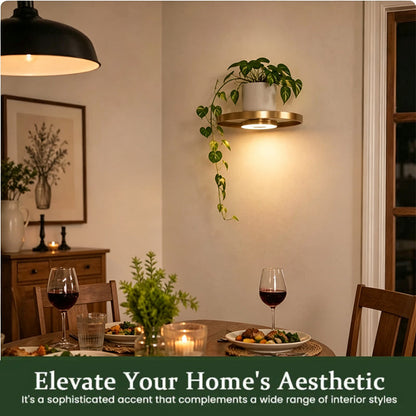 ✨50% Rabatt✨ 💡 Schwebendes Wandregal mit integrierter LED-Stimmungsbeleuchtung – Moderne Pflanzenpräsentation – Perfekt für Indoor-Gärten und Wohnungen ✨