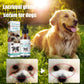 ⏳🔥 50% RABATT!! 🐱🐶 Augenreiniger & -tropfen für Haustiere – Sanfte, pH-neutrale Formel, sicher für Hunde und Katzen. Lindert Rötungen, entfernt Tränenflecken und alltäglichen Schmutz. Ohne Peroxid! 🌿💧