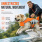 🐕🦺 Hunde-Schwimmweste mit abnehmbarem Frontschwimmer – 50% RABATT! Leuchtende Sicherheitsfarben, verstellbare Gurte, auftriebsstark – hält Ihren Hund sicher im Wasser. 🛡️💦