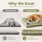 🛍️ 50 % Rabatt – Gepolsterte, waschbare Hundematte – weich, warm & vielseitig für Hunde & Katzen – ideal für alle Jahreszeiten 🐾