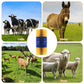 🐴 50% RABATT!🤏 Tierpflege‑Massagebürste für Nutztiere, hautschonend🐄