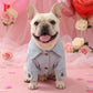 👑 50% RABATT! 💙 Süße Prinzessin Denim-Hundejacke, bequemer Stoff für kleine Hunde im Alltag🐶